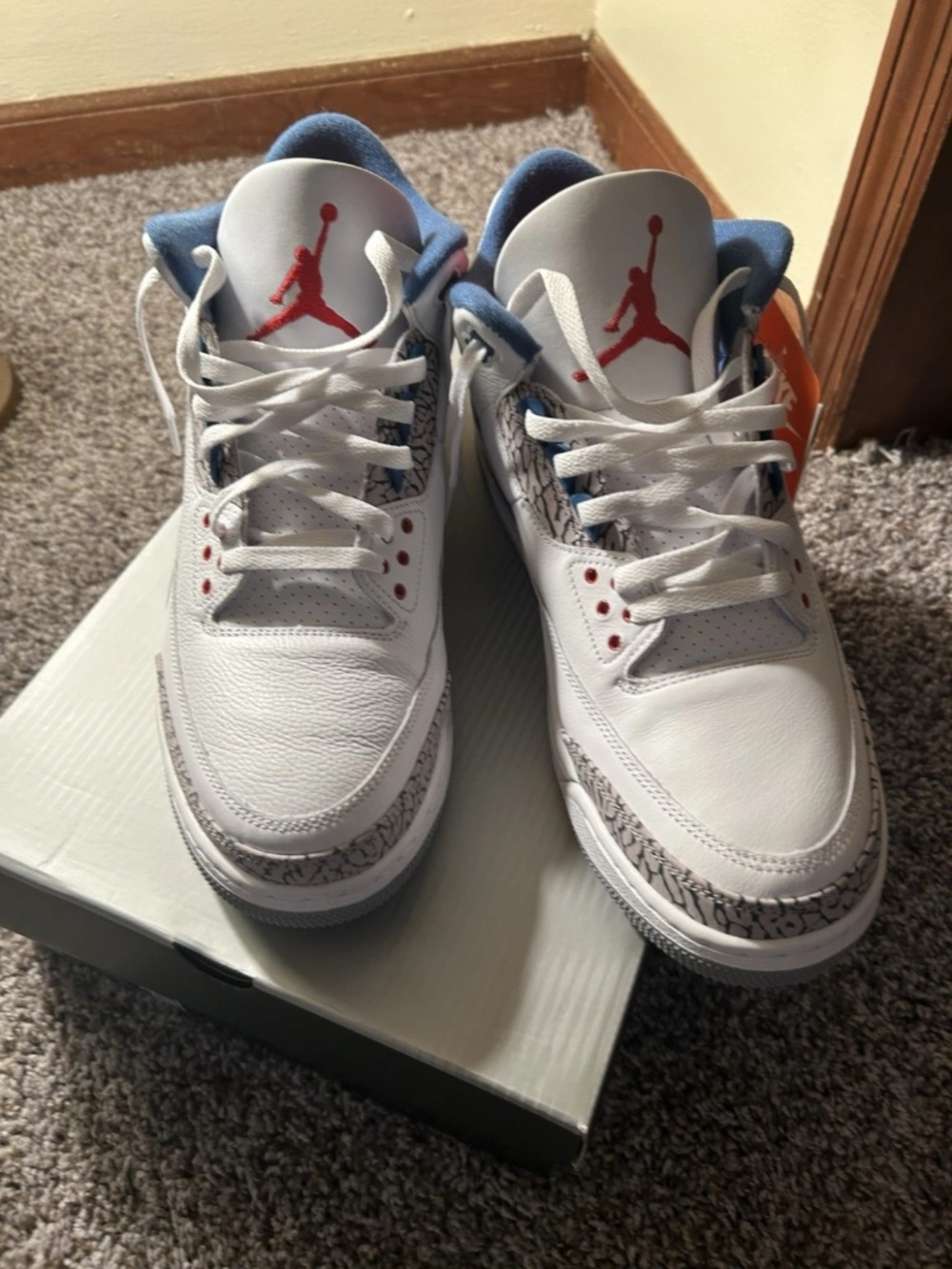 Air Jordan Retro 3 “True Blue” size 13